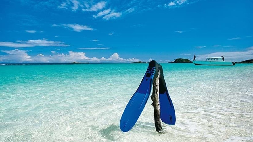 来印度洋最佳的潜水点体验海底世界